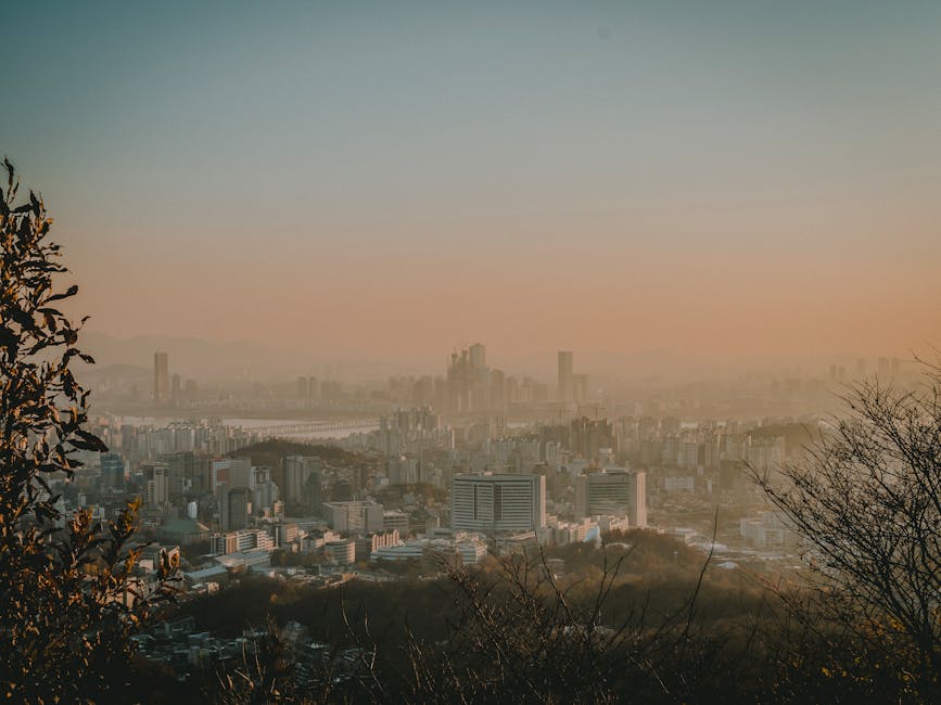 서울 대학교 수강 신청 ㅊ