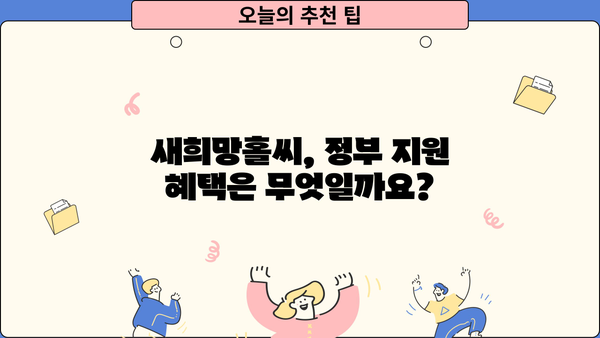 부산은행 상생대환대출 새희망홀씨 신청 완벽 가이드 | 자격조건, 정부지원, 신청 방법 상세 설명