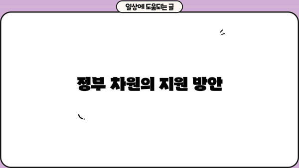 정부 차원의 지원 방안