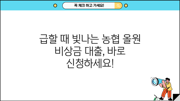 농협 올원 비상금 대출, 신청부터 후기까지 한번에! | 비상금, 대출, 농협, 올원, 신청 방법, 후기, 금리, 한도