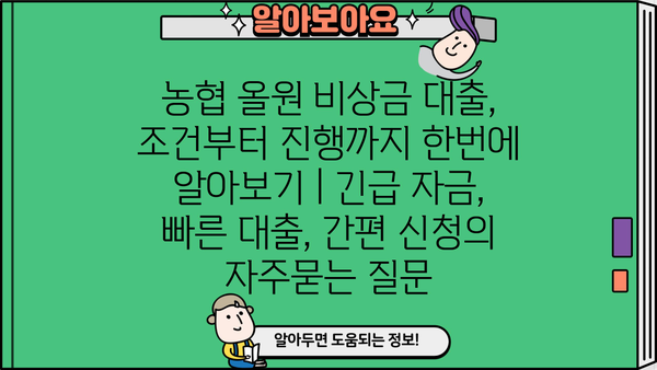 농협 올원 비상금 대출, 조건부터 진행까지 한번에 알아보기 | 긴급 자금, 빠른 대출, 간편 신청