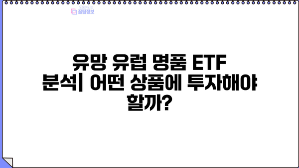KODEX 유럽 명품 ETF 투자 가이드| 핵심 전략 및 유망 상품 분석 | 유럽 주식, ETF, 포트폴리오