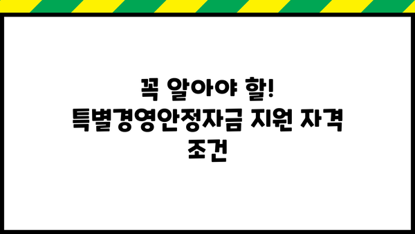 소상공인 특별경영안정자금 신청 가이드| 자격, 지원 대상, 신청 방법 총정리 | 소상공인 지원, 정부 지원, 금융 지원