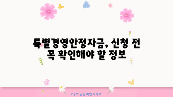 소상공인 특별경영안정자금 신청 가이드| 자격, 지원 대상, 신청 방법 총정리 | 소상공인 지원, 정부 지원, 금융 지원