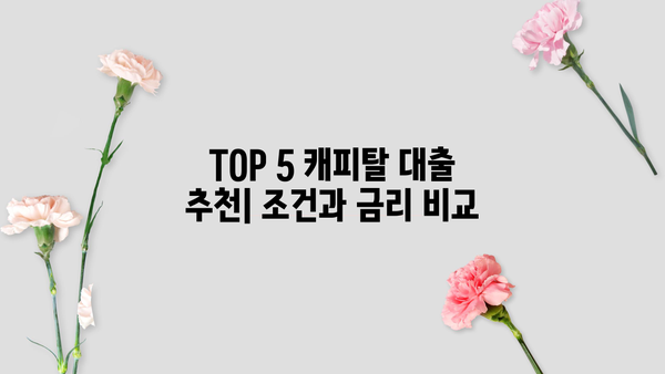 직업, 소득 없어도 대출 가능한 곳 TOP 5| 캐피탈 대출 꼼꼼히 비교해보세요! | 무직자 대출, 소득증빙 없는 대출, 캐피탈 추천