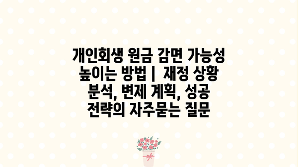 개인회생 원금 감면 가능성 높이는 방법 |  재정 상황 분석, 변제 계획, 성공 전략