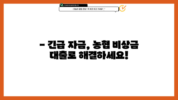 긴급 자금 필요할 때? 무직자도 OK! 농협 비상금 대출 상세 가이드 | 비상금, 대출 조건, 신청 방법, 필요 서류