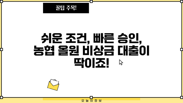 농협 올원 비상금 대출, 조건부터 진행까지 한번에 알아보기 | 긴급 자금, 빠른 대출, 간편 신청