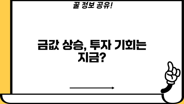 금 투자, 지금이 기회? | 금 시세 전망, 금 투자 방법, 금 ETF 추천