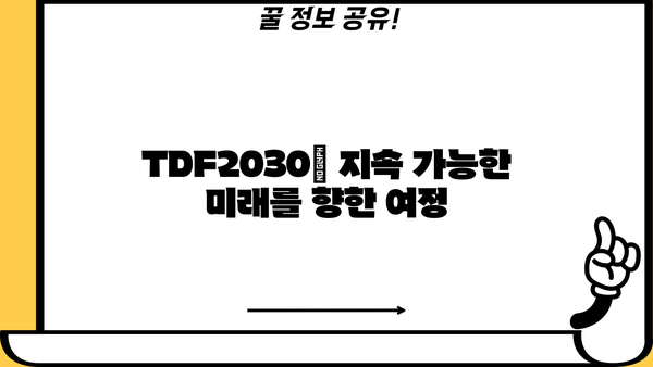 TDF2030| 핵심 전략과 실행 계획 | 지속가능한 발전 목표, 2030 로드맵, 환경, 사회, 경제