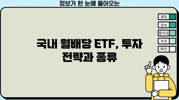 국내 월배당 ETF 투자 가이드| 알아야 할 모든 것 | 월배당, ETF, 투자 전략, 수익률, 위험 관리
