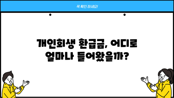 개인회생 환급계좌 조회 방법| 간편하게 확인하세요 | 개인회생, 환급금, 계좌 조회, 확인 방법