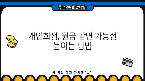 개인회생 원금 감면 가능성 높이는 방법 |  재정 상황 분석, 변제 계획, 성공 전략