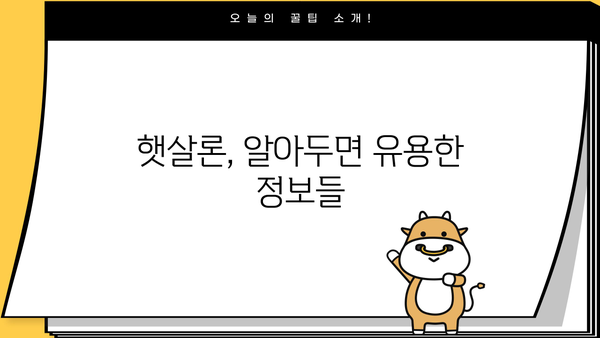근로자 햇살론 자격 조건 & 한도 완벽 정리 | 신청 자격, 금리, 대출 방법