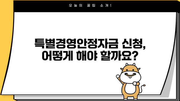 소상공인 특별경영안정자금 신청 가이드| 자격, 지원 대상, 신청 방법 총정리 | 소상공인 지원, 정부 지원, 금융 지원