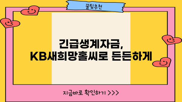 국민은행 KB새희망홀씨 긴급생계자금 추가 대출| 한도, 금리, 기간, 조건 완벽 정리 | 대출 정보, 신청 방법, 필요 서류