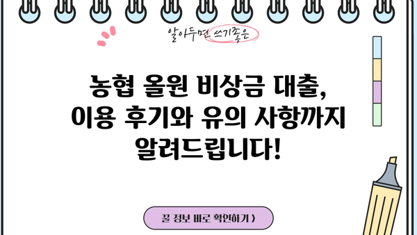 농협 올원 비상금 대출, 조건부터 진행까지 한번에 알아보기 | 긴급 자금, 빠른 대출, 간편 신청