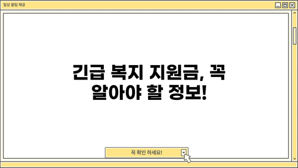 2024 긴급 복지생계지원금 신청 완벽 가이드| 방법, 지급일, 자격 확인 | 긴급복지, 생계지원, 신청방법, 지급일, 자격조건