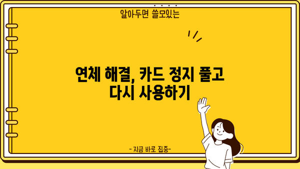 대출 연체로 인한 카드 정지, 이럴 땐 어떻게 해야 할까요? | 카드 연체, 대출 연체, 해결 방안, 카드 정지 해제
