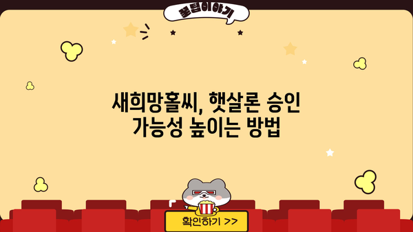 국민은행 새희망홀씨 vs 햇살론, 거절당했을 때 이유 알아보기 | 대출 거절 사유, 대출 승인 가능성 높이는 방법
