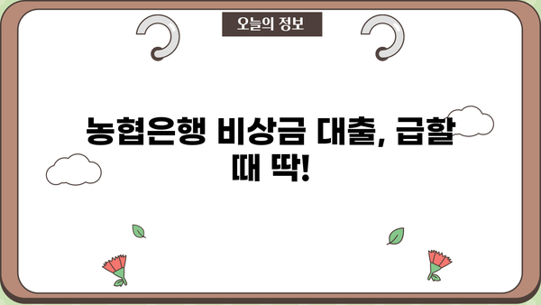 급한 돈 필요할 때, 농협은행 비상금 대출로 문제 해결 | 소액대출, 빠른 승인, 금리 비교