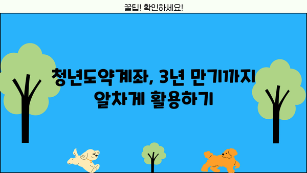 청년도약계좌 3년 만기, 금리·조건·신청기간 총정리 | 환승·중도해지까지 완벽 가이드