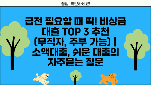 급전 필요할 때 딱! 비상금 대출 TOP 3 추천 (무직자, 주부 가능) | 소액대출, 쉬운 대출