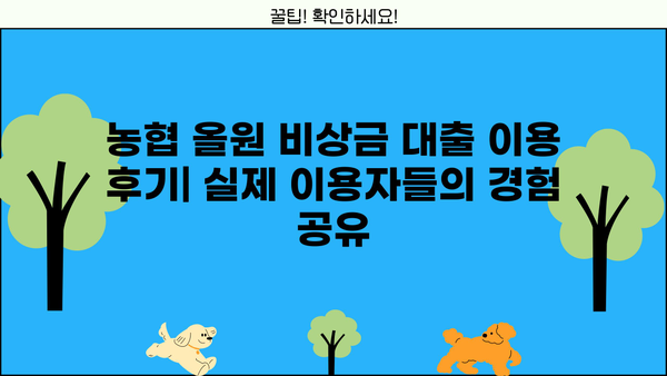 농협 올원 비상금 대출, 신청부터 후기까지 한번에! | 비상금, 대출, 농협, 올원, 신청 방법, 후기, 금리, 한도