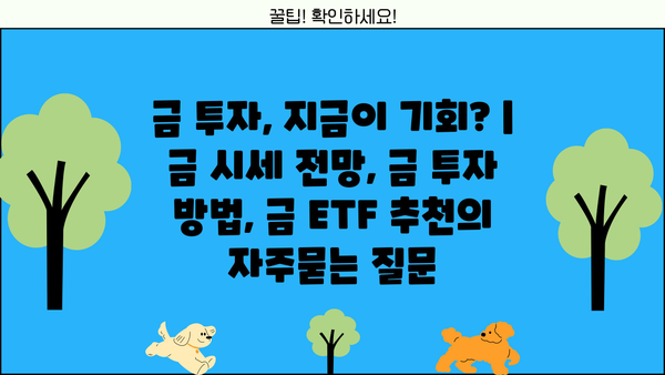 금 투자, 지금이 기회? | 금 시세 전망, 금 투자 방법, 금 ETF 추천