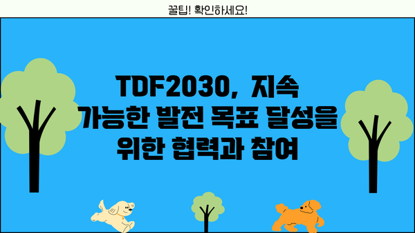 TDF2030| 핵심 전략과 실행 계획 | 지속가능한 발전 목표, 2030 로드맵, 환경, 사회, 경제