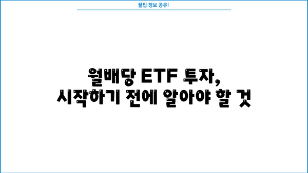 국내 월배당 ETF 투자 가이드| 알아야 할 모든 것 | 월배당, ETF, 투자 전략, 수익률, 위험 관리