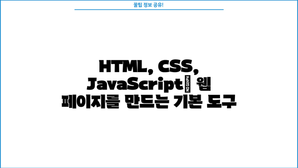 초보자를 위한 웹 개발 종합 가이드 | HTML, CSS, JavaScript, 웹사이트 제작, 프로그래밍 입문