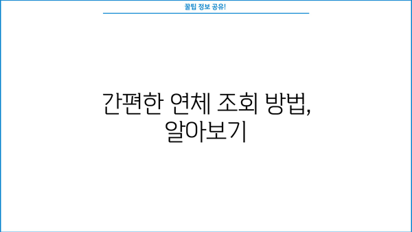 대출 연체 조회, 쉽고 빠르게 확인하세요! | 연체 조회 방법, 조회 사이트, 연체 해결 팁